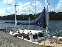 baumpersenning