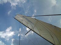 d4_dehler36_gros_2