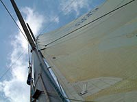 d4_dehler36_gros_3
