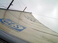 d4_first_36