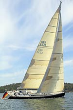 d4_joy_genua_gros