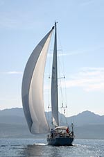 d4_oyster_62
