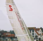 seggerling_3