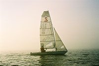 seggerling_4